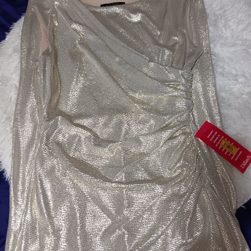 Ladies Evening Dress Size 10